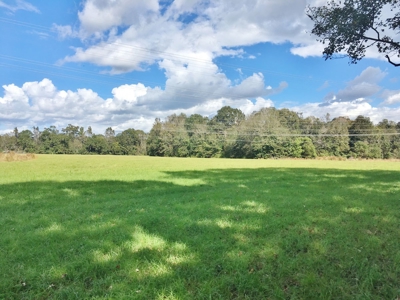Acreage with Lakes for Sale East Baton Rouge Parish, LA - image 39