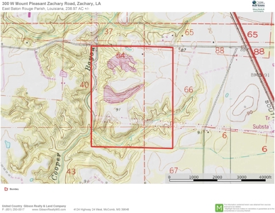 Acreage with Lakes for Sale East Baton Rouge Parish, LA - image 46