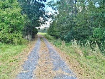 Acreage with Lakes for Sale East Baton Rouge Parish, LA - image 16