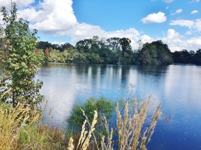 Acreage with Lakes for Sale East Baton Rouge Parish, LA - image 2