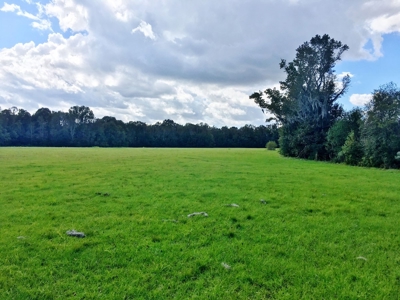 Acreage with Lakes for Sale East Baton Rouge Parish, LA - image 26