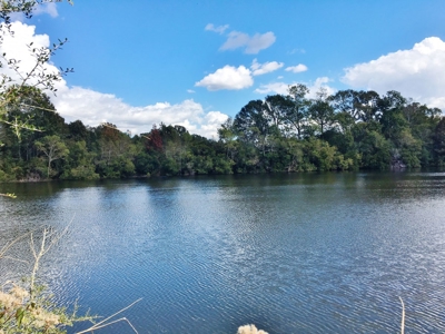 Acreage with Lakes for Sale East Baton Rouge Parish, LA - image 3
