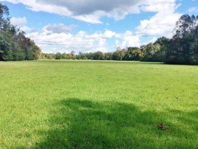 Acreage with Lakes for Sale East Baton Rouge Parish, LA - image 40