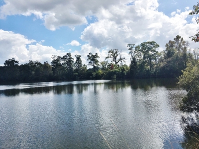 Acreage with Lakes for Sale East Baton Rouge Parish, LA - image 20