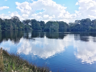 Acreage with Lakes for Sale East Baton Rouge Parish, LA - image 13
