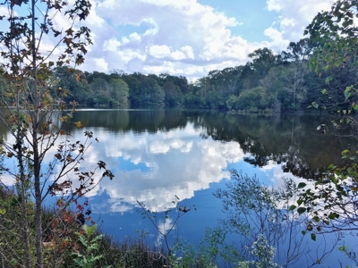 Acreage with Lakes for Sale East Baton Rouge Parish, LA - image 12