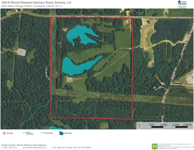 Acreage with Lakes for Sale East Baton Rouge Parish, LA - image 45