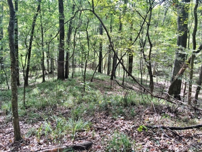 Acreage with Lakes for Sale East Baton Rouge Parish, LA - image 34