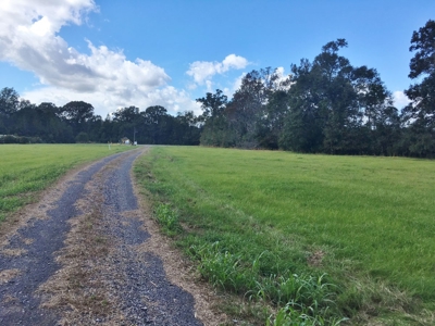 Acreage with Lakes for Sale East Baton Rouge Parish, LA - image 18