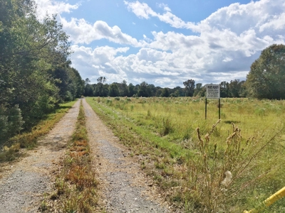 Acreage with Lakes for Sale East Baton Rouge Parish, LA - image 6