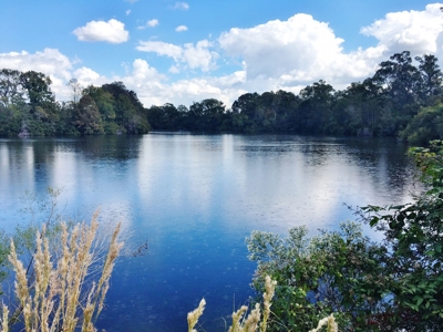 Acreage with Lakes for Sale East Baton Rouge Parish, LA - image 19