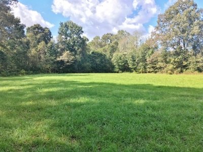 Acreage with Lakes for Sale East Baton Rouge Parish, LA - image 38