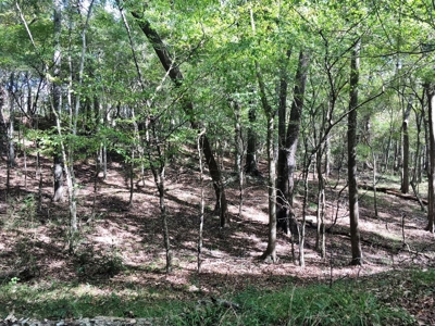 Acreage with Lakes for Sale East Baton Rouge Parish, LA - image 35