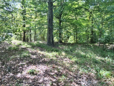 Acreage with Lakes for Sale East Baton Rouge Parish, LA - image 10