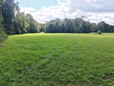Acreage with Lakes for Sale East Baton Rouge Parish, LA - image 27