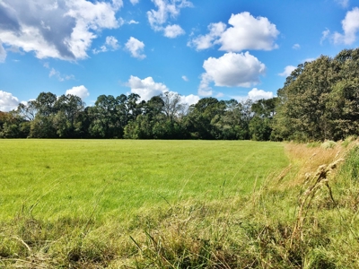 Acreage with Lakes for Sale East Baton Rouge Parish, LA - image 1