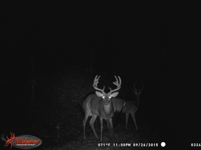 Acreage with Lakes for Sale East Baton Rouge Parish, LA - image 42