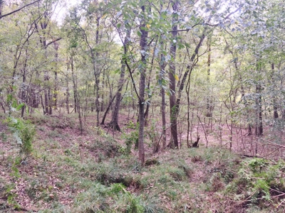 Acreage with Lakes for Sale East Baton Rouge Parish, LA - image 31