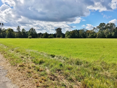 Acreage with Lakes for Sale East Baton Rouge Parish, LA - image 7