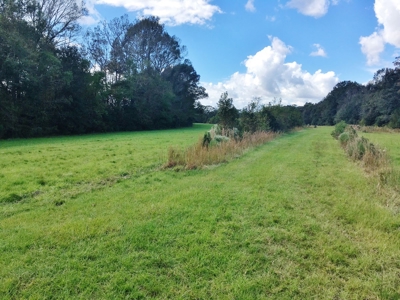 Acreage with Lakes for Sale East Baton Rouge Parish, LA - image 9