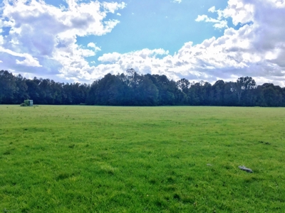 Acreage with Lakes for Sale East Baton Rouge Parish, LA - image 25