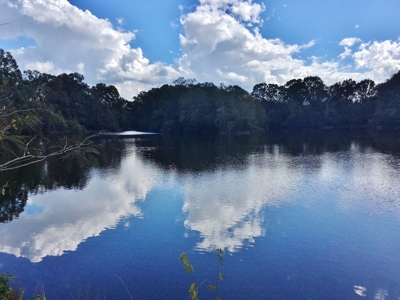 Acreage with Lakes for Sale East Baton Rouge Parish, LA - image 14