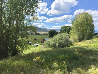 Land For Sale - image 1