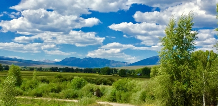 Land For Sale - image 4