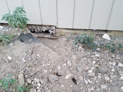 Downtown Kingman AZ home, fixer upper - image 7