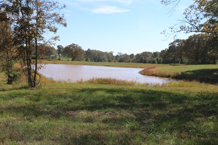 Residential Lots for Sale South Central Missouri Ozarks - image 8