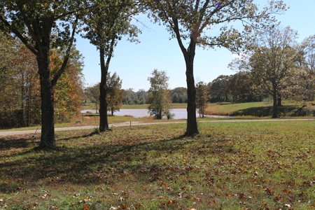 Residential Lots for Sale South Central Missouri Ozarks - image 10
