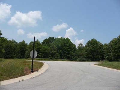 Residential Lots for Sale South Central Missouri Ozarks - image 5