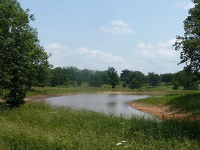 Residential Lots for Sale South Central Missouri Ozarks - image 3