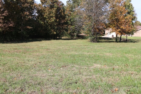 Residential Lots for Sale South Central Missouri Ozarks - image 5