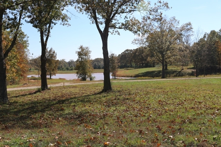 Residential Lots for Sale South Central Missouri Ozarks - image 6