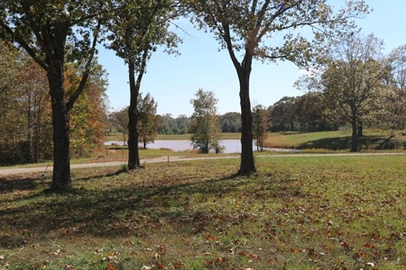 Residential Lots for Sale South Central Missouri Ozarks - image 12