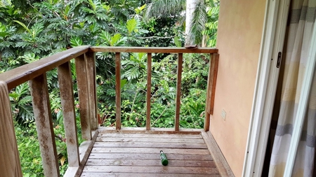 Titled  Home in the Caribbean Bocas del Toro 2 min. to beach - image 9