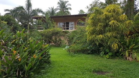 Titled  Home in the Caribbean Bocas del Toro 2 min. to beach - image 15