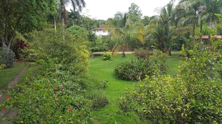 Titled  Home in the Caribbean Bocas del Toro 2 min. to beach - image 14