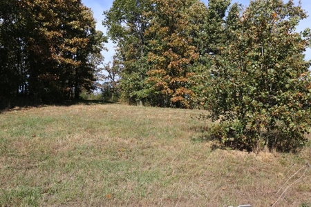 Residential Lots for Sale in the MO. Ozarks - The Timbers - image 7