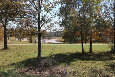 Residential Lots for Sale in the MO. Ozarks - The Timbers - image 13