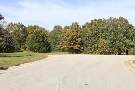 Residential Lots for Sale in the MO. Ozarks - The Timbers - image 9