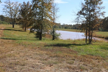 Residential Lots for Sale in the MO. Ozarks - The Timbers - image 10