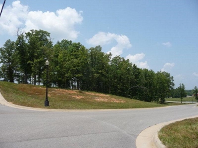 Residential Lots for Sale in the MO. Ozarks - The Timbers - image 2