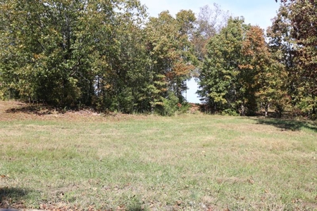 Residential Lots for Sale in the MO. Ozarks - The Timbers - image 14