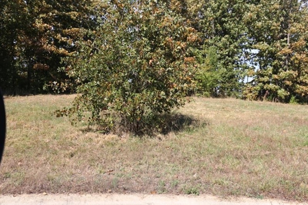 Residential Lots for Sale in the MO. Ozarks - The Timbers - image 5