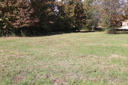 Residential Lots for Sale in the MO. Ozarks - The Timbers - image 11