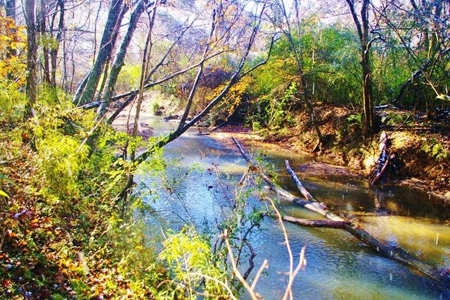 Secluded Cabin for Sale Pond Fishing Hunting Centreville MS - image 24