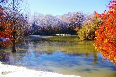 Secluded Cabin for Sale Pond Fishing Hunting Centreville MS - image 40