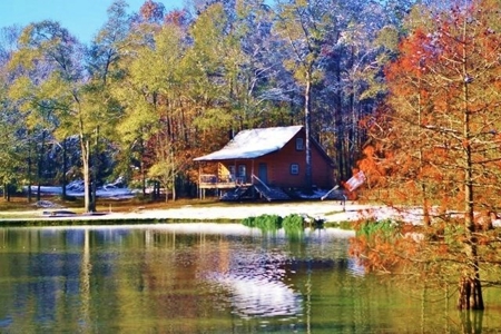 Secluded Cabin for Sale Pond Fishing Hunting Centreville MS - image 1